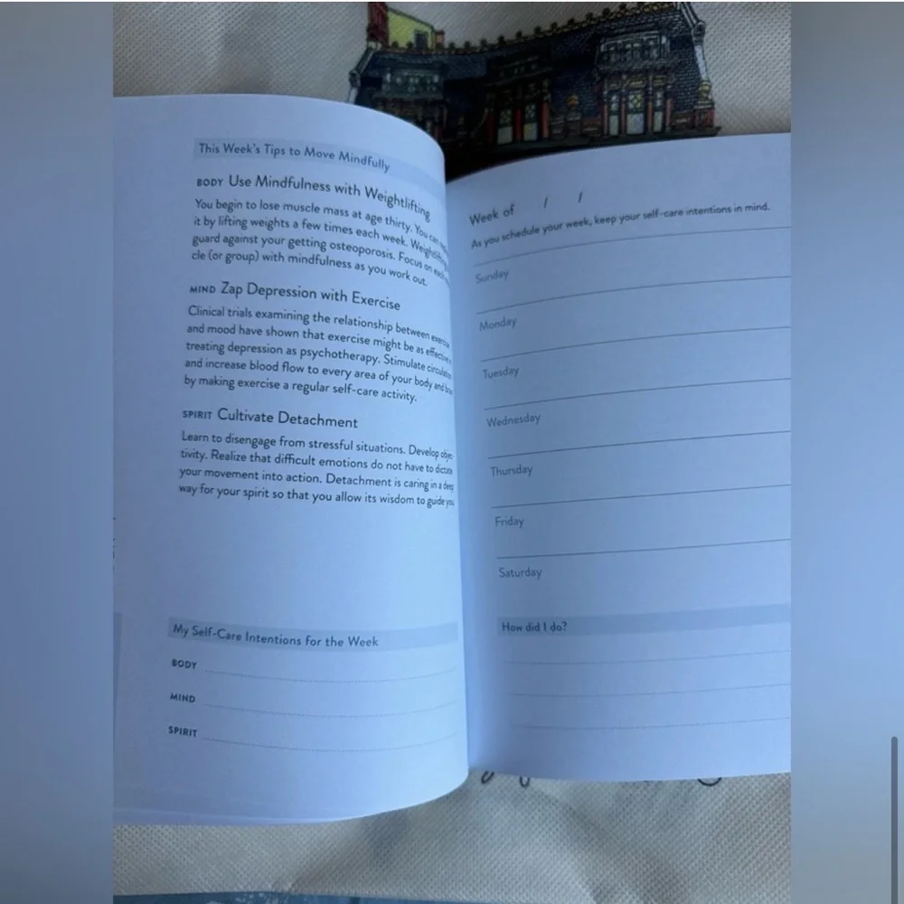 NWT The Self-Care Planner: A Weekly Guide to Prioritize You Hardcover